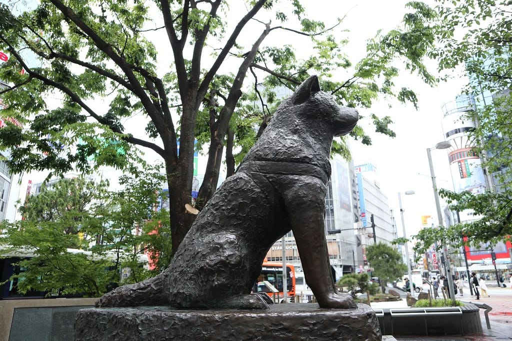 19 Cool & Crazy Things To Do In Shibuya 