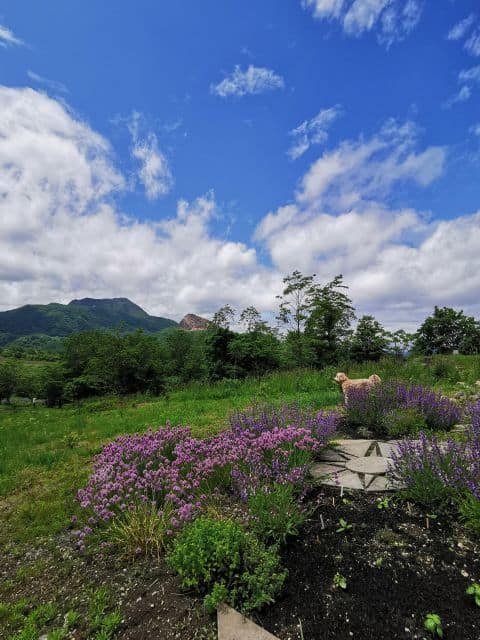 Hokkaido Nature and Gourmet Experience (near Lake Toya)