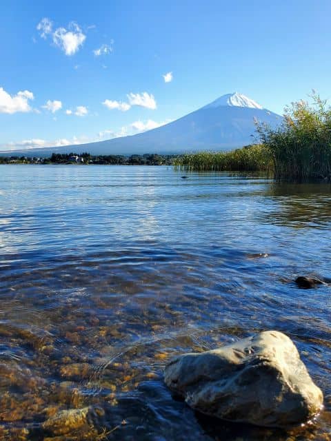 Mt Fuji: Full Day Private Tour With English Guide