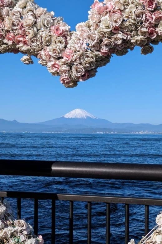 Enchanting Morning Walk on Enoshima Island