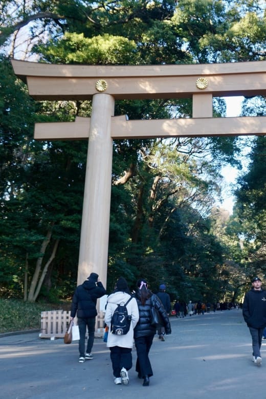 Tokyo Harajuku Meiji Shrine 1h Walking Explanation Tour