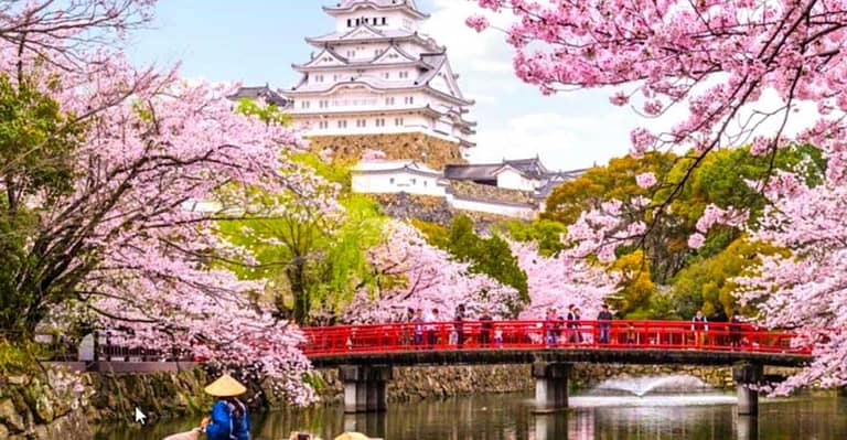 10-Day Private Guided Tour in Japan Moreover 60 Attractions