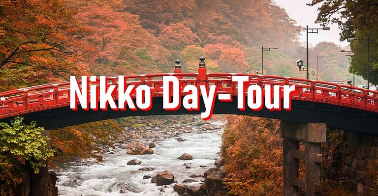 From Tokyo: 10-hour Private Custom Tour to Nikko