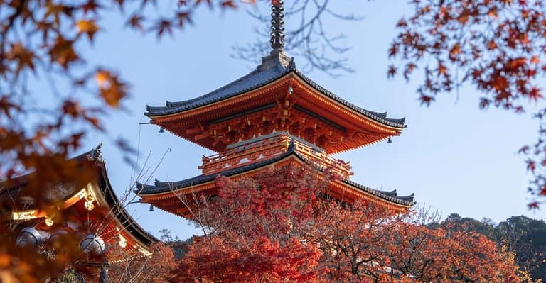 Kyoto: Personalized Guided Private Tour