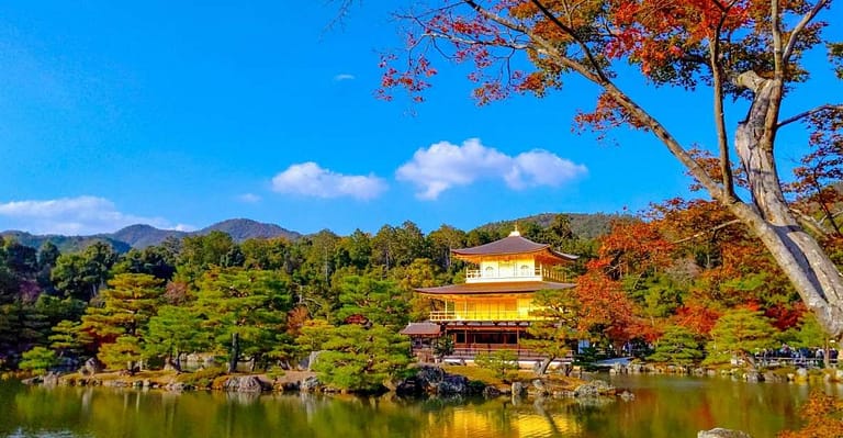 Kyoto: Private Customizable Day Trip by Car