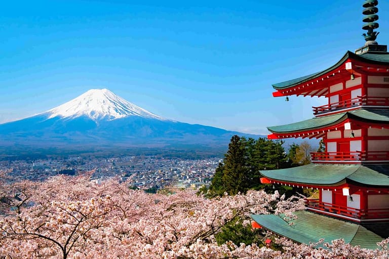 From Tokyo MT Fuji Fully Customize Tour With English Driver