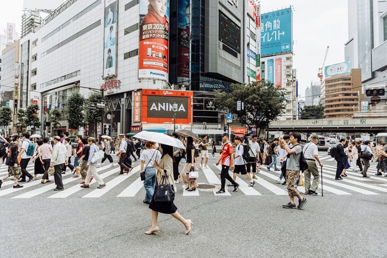 Shibuya & Harajuku: Hidden Gems & Highlights Private Tour