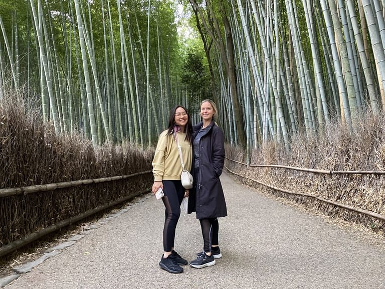 Kyoto: Full-Day City Highlights Bike Tour With Light Lunch