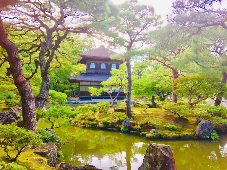 Kyoto: Private Guided Tour of Temples and Shrines