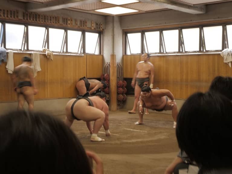 Tokyo: Sumo Wrestlers Morning Practice Ticket and Tour