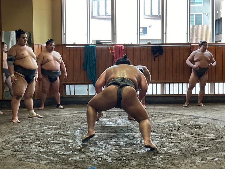 Tokyo: Visit Sumo Morning Practice With English Guide