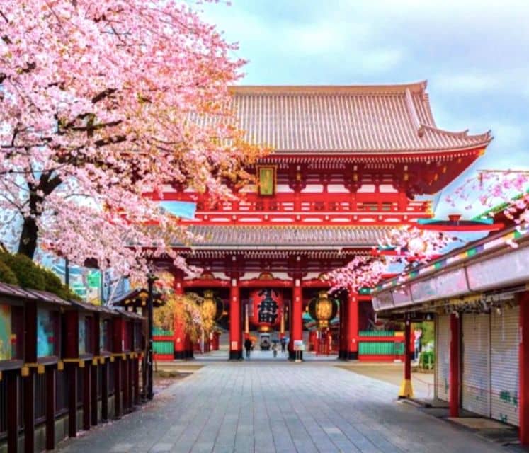 10-Day Private Guided Tour in Japan On top of that 60 Attractions - Just The Basics