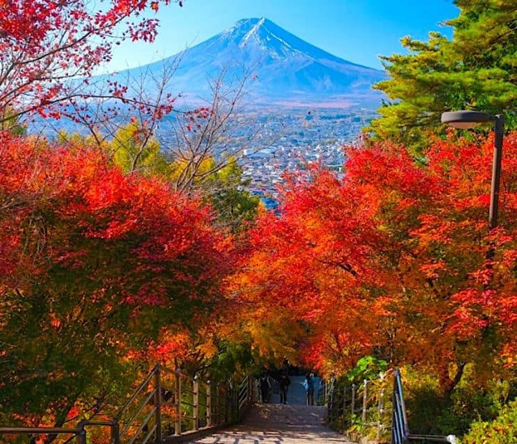 2-Day Private Tokyo MT Fuji and Hakone Tour With Guide - Tour Highlights and Inclusions