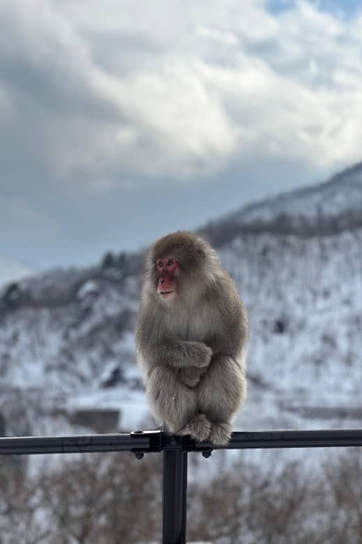 A Memorabele Snow Monkey Park and Zenkoji Temple Tour - Itinerary and Schedule