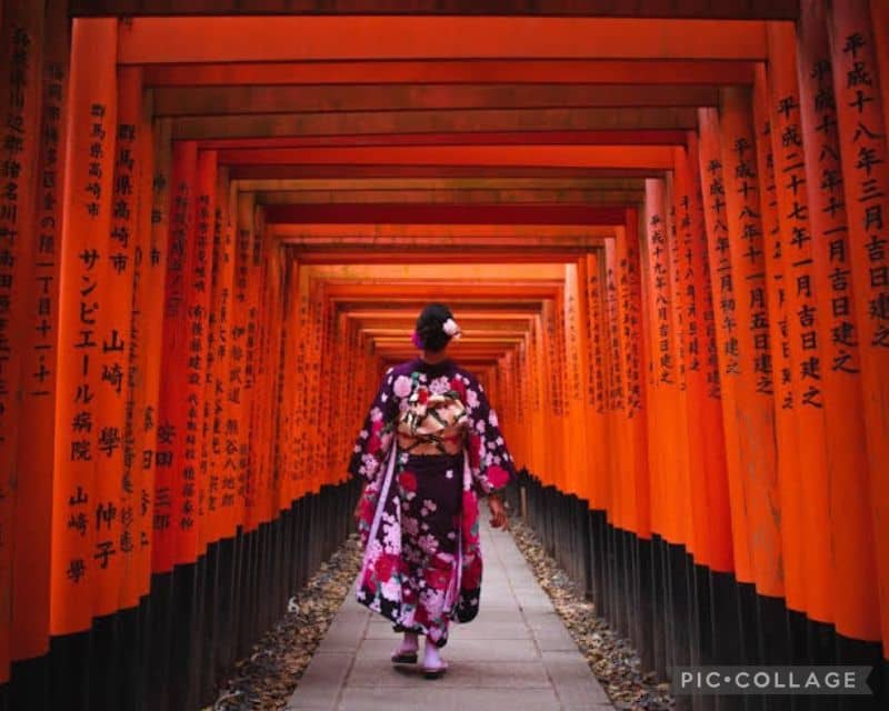 ALL-IN Private Tour KYOTO W/Hotel Pick-Up and Drop-Off - Tour Overview and Pricing