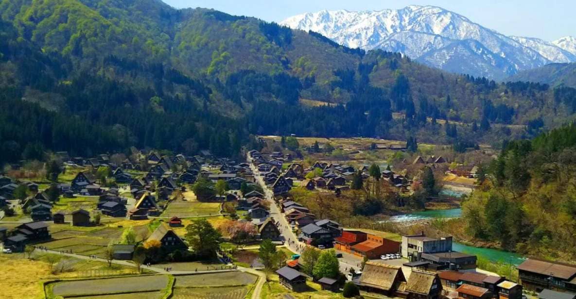 From Kanazawa: Shirakawa-Go, Gokayama and Wood Carving Art - Tour Overview and Pricing