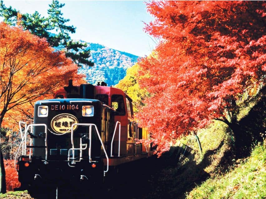 From Osaka: Kyoto Sightseeing Tour With Scenic Train Ride - Tour Overview and Pricing