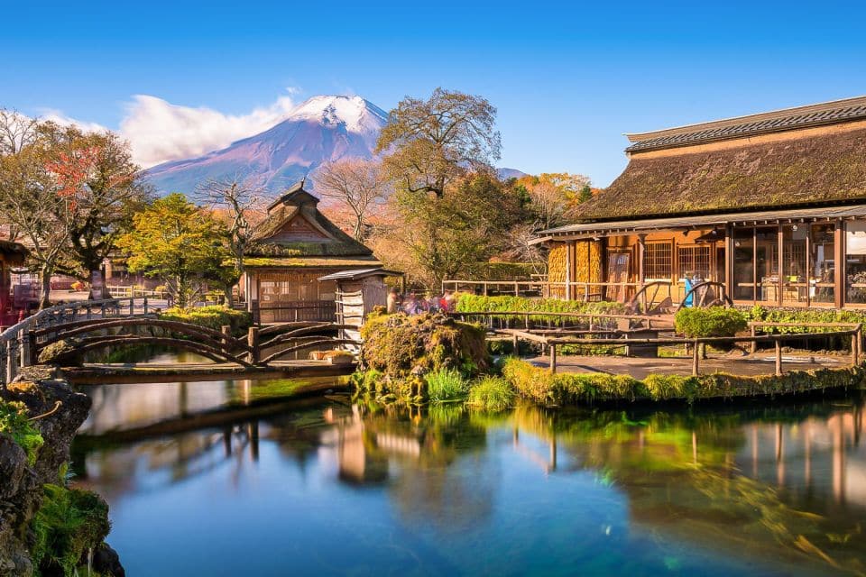 From Tokyo: 1-Day Private Mt. Fuji Tour by Car - Your Private Tour Itinerary