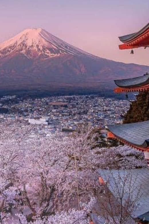 From Tokyo: Mount Fuji Full Day Private Customize Tour - Tour Overview and Pricing