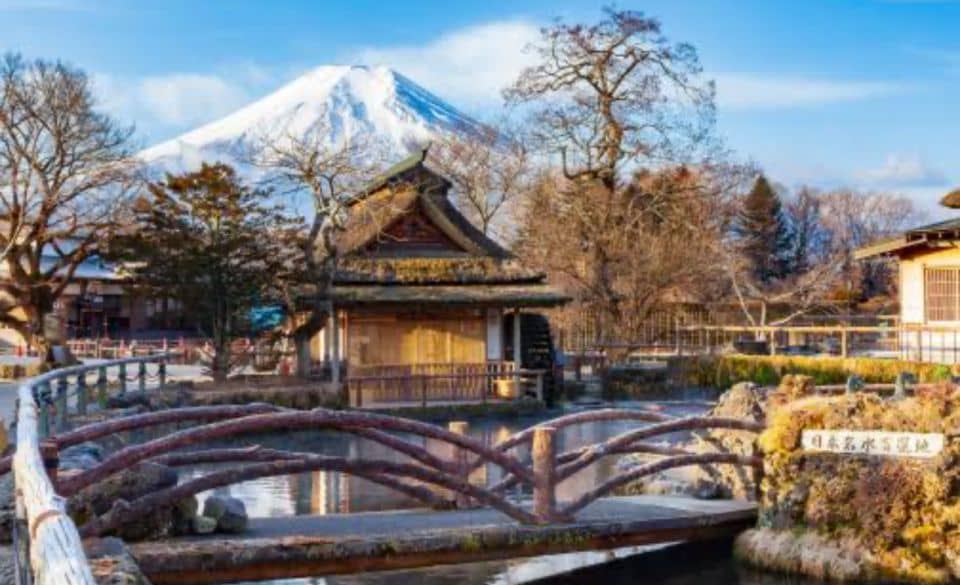 From Tokyo: Mount Fuji Full Day Private Tours English Driver - Tour Details and Pricing