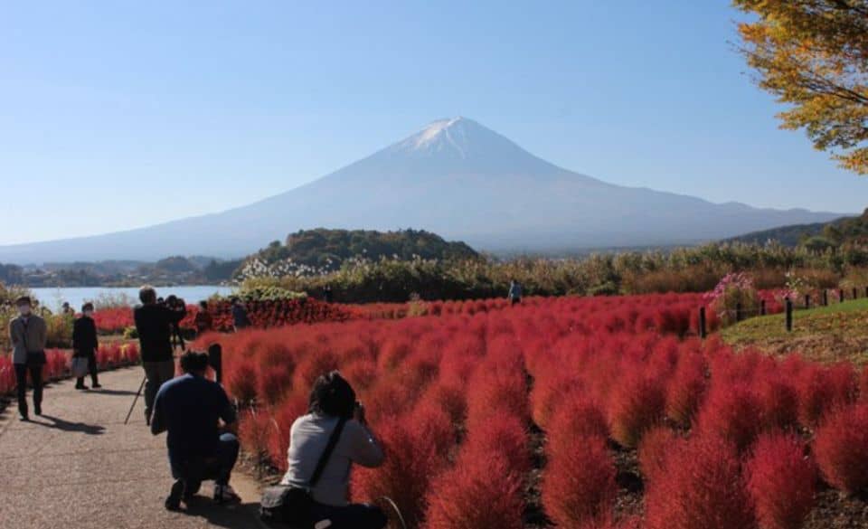 From Tokyo: Mount Fuji Private Sightseeing Day Trip - Mount Fuji Day Trip Overview