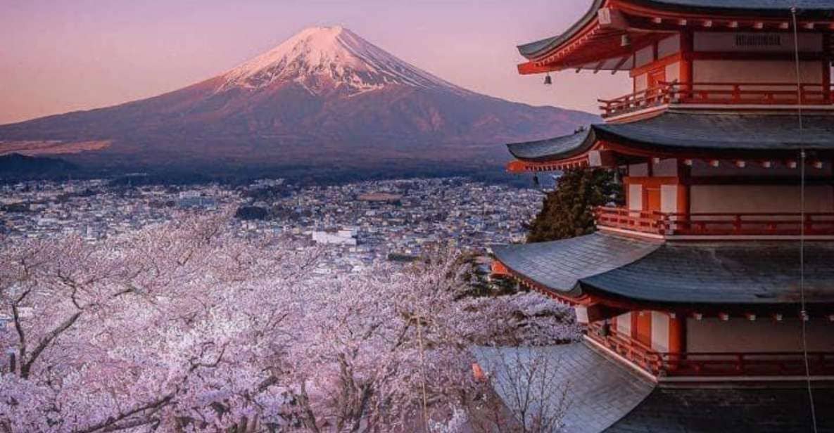 From Tokyo: MT Fuji Hakone Owakudani Valley Private Tour - Tour Overview and Pricing