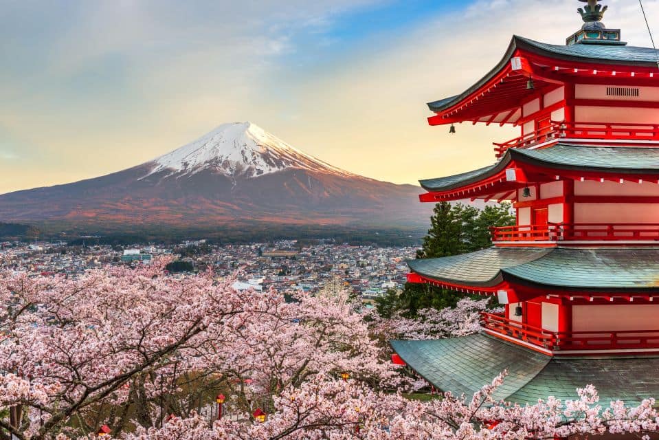 From Tokyo: Mt. Fuji or Hakone Private Sightseeing Day Trip - Tour Highlights and Inclusions