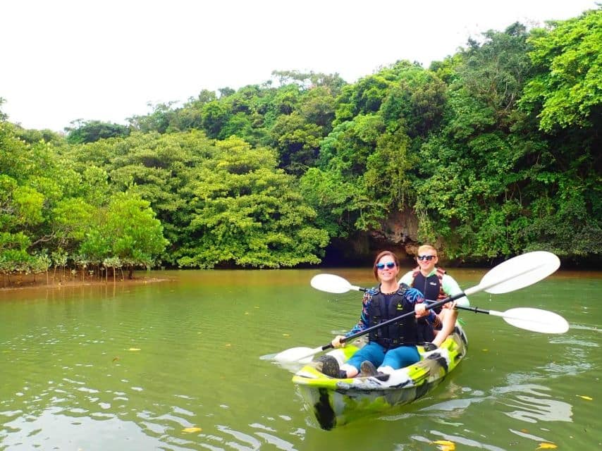 Ishigaki Island: 2-Hour Miyara River Kayaking Tour - Tour Details and Logistics