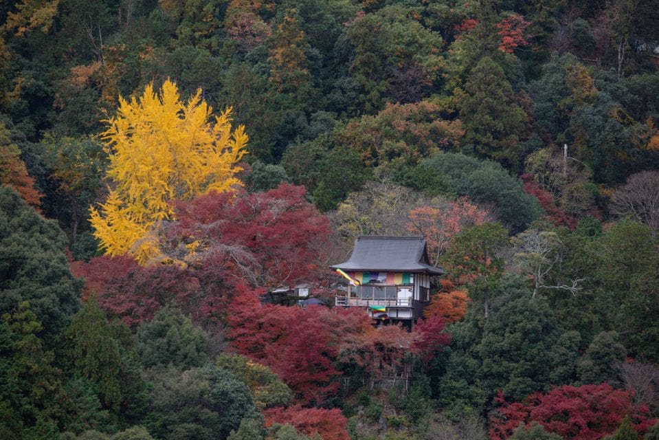 Kyoto: Arashiyama Forest Trek With Authentic Zen Experience - Discover Arashiyamas Hidden Gems