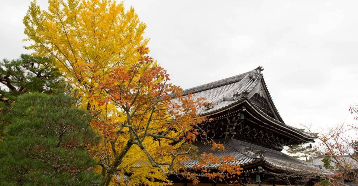 Kyoto: Bicycle Adventure Tour - Explore Kyotos Scenic Routes