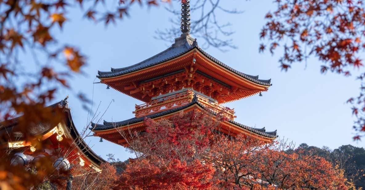 Kyoto: Personalized Guided Private Tour - Customizing Your Kyoto Experience