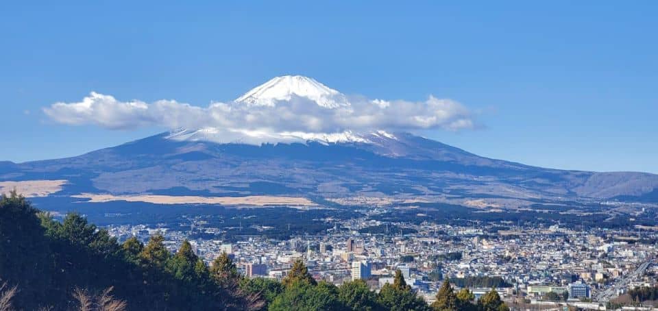 Mt Fuji and Hakone Private Tour With English Speaking Driver - Tour Overview and Pricing