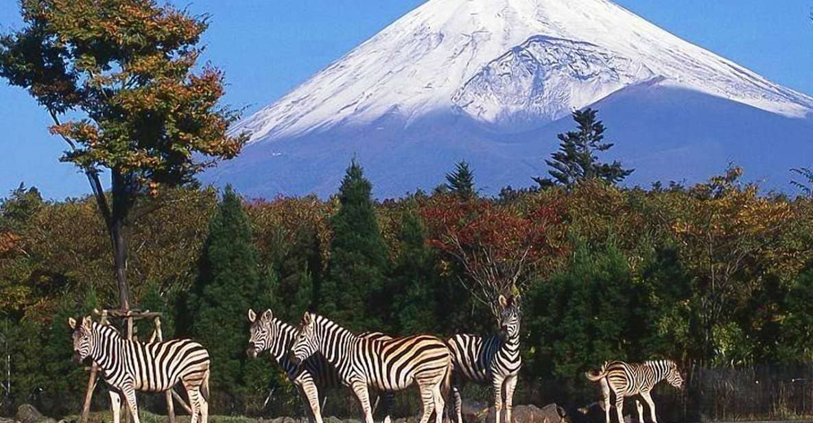 Mt Fuji : Highlight Tour and Unforgettable Experience - Luxury Private Tour Experience