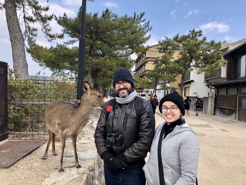 Nara: Private Tour With Private Guide - Tour Overview and Details