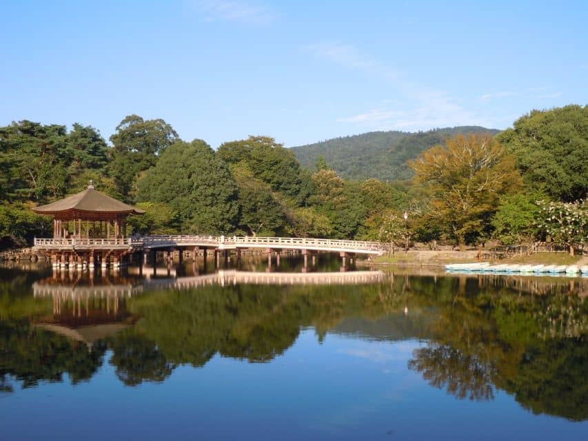 Nara: Todai-ji and Nara Park - Tour Overview and Pricing