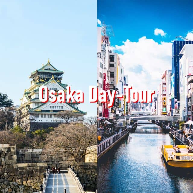 Osaka: 10-Hour Customizable Tour With Private Car - Customizing Your Dream Day