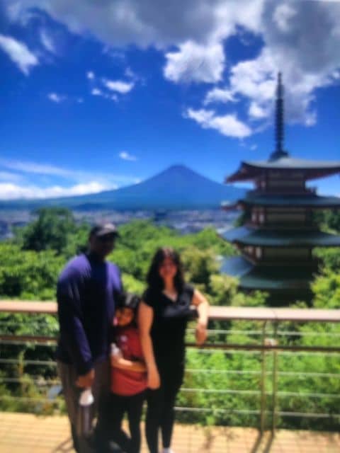 Private Tour Mt Fuji - Itinerary and Destinations