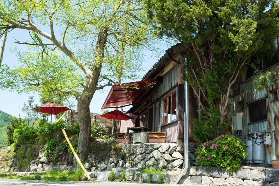 Shodoshima Private Taxi Tour – Pilgrimage Temple Visit - Tour Overview and Pricing