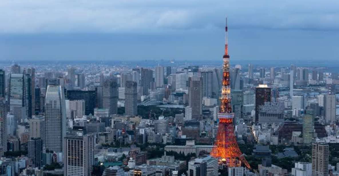 Tokyo: 1 Day Private Customisable City Tour by Car and Van - Tour Highlights and Pricing