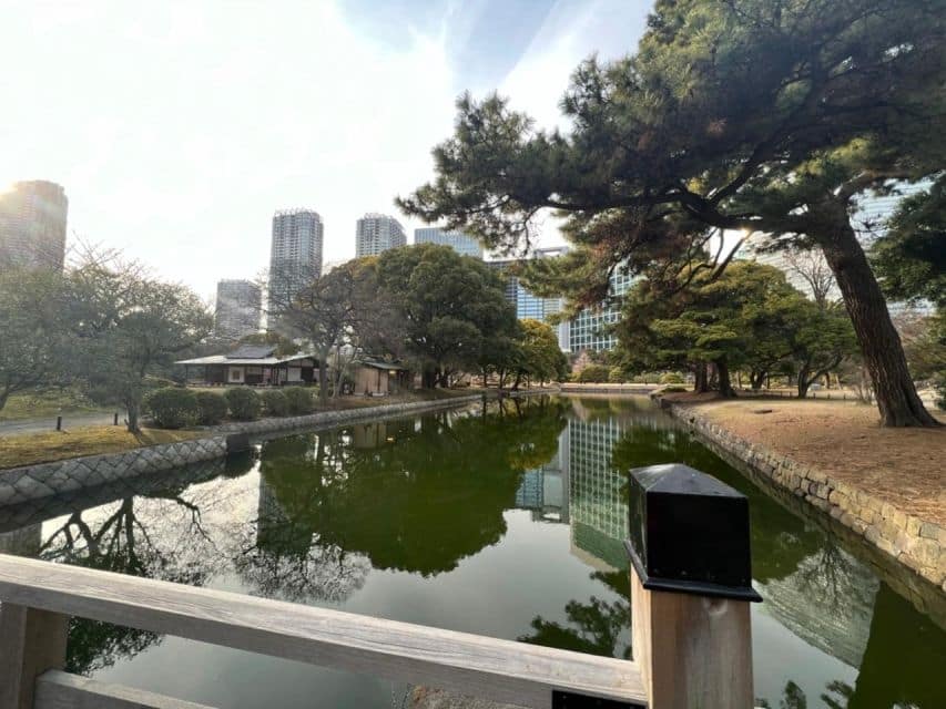 Tokyo : Japanese Garden Guided Walking Tour in Hama Rikyu - Tour Overview and Details