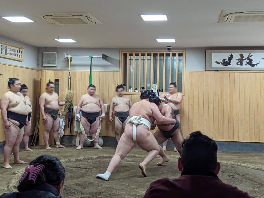 Tokyo: Morning Sumo Practice Viewing - Morning Sumo Practice Experience