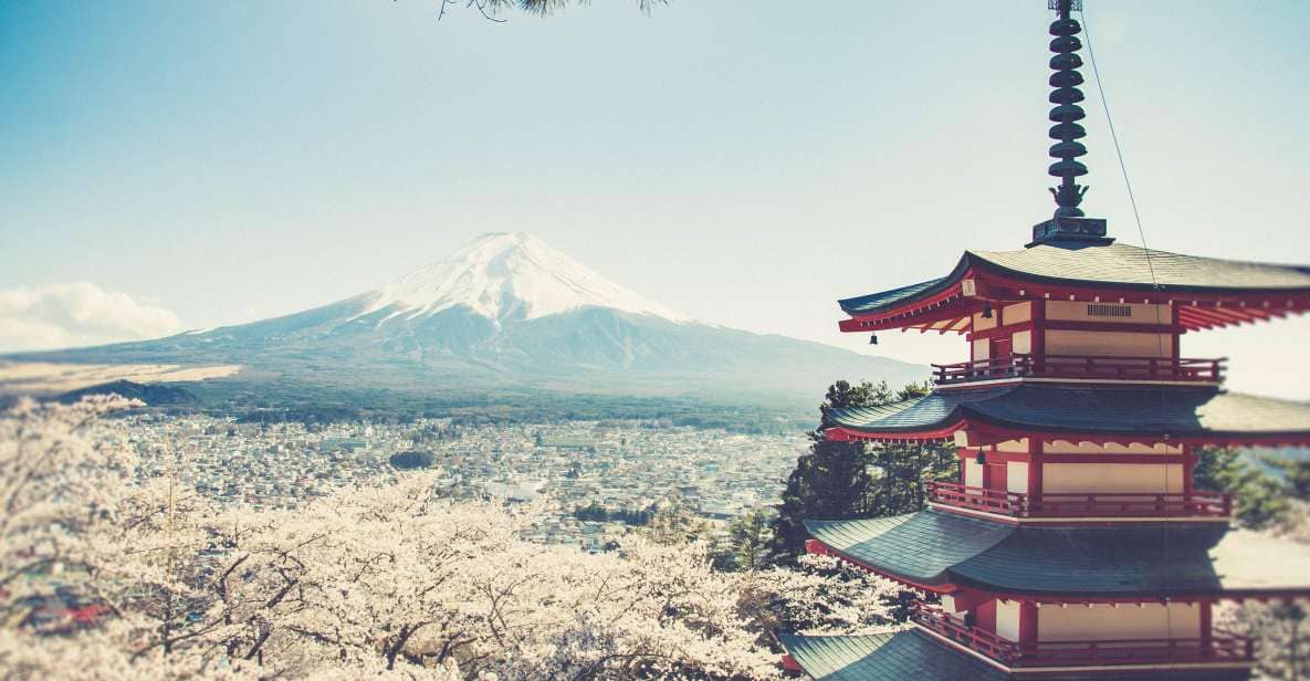 Tokyo: Mt. Fuji and Lake Kawaguchi Private Tour - What to Expect From Your Tour