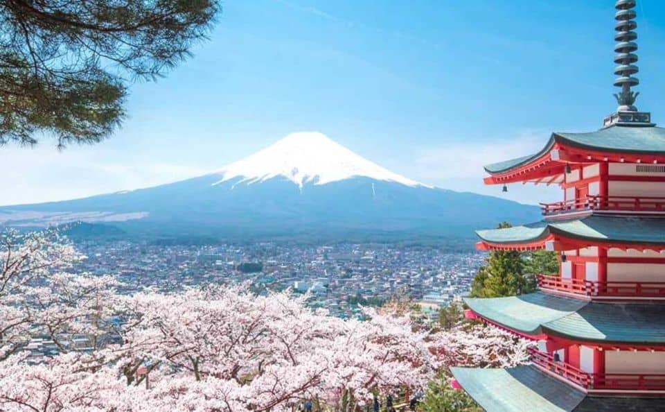 Tokyo: Mt Fuji Day Tour With Kawaguchiko Lake Visit - Tour Overview and Details