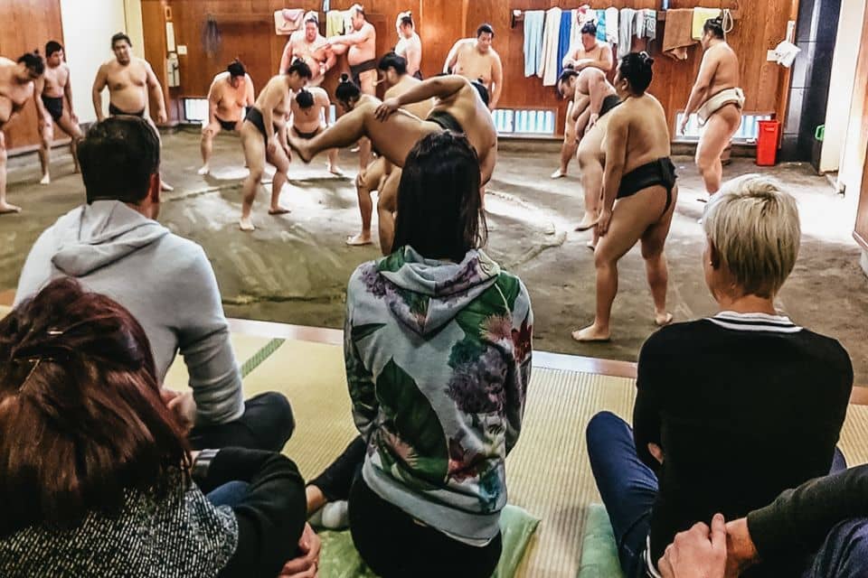 Tokyo: Sumo Morning Training Visit - Sumo Wrestling Experience Overview