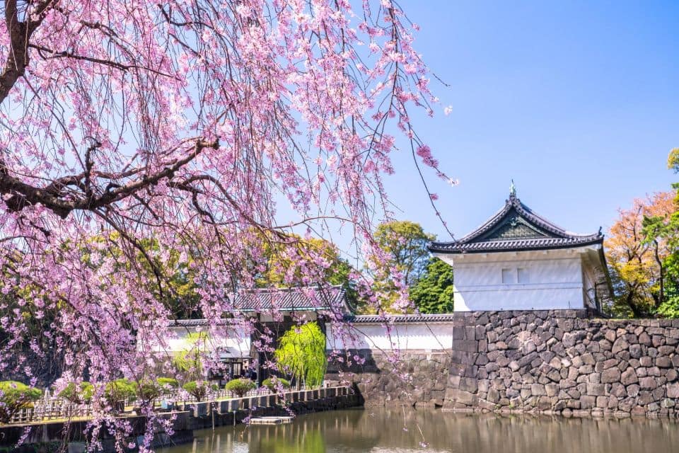 Tokyo: Tokyo Imperial Palace History Private Walking Tour - Tour Overview and Pricing