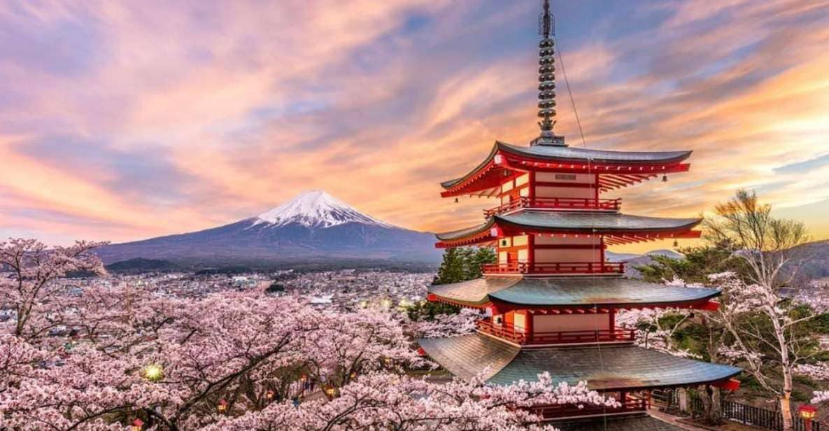 Tokyo:Private Mt Fuji Sightseeing Tour With English Driver. - What to Expect and Inclusions