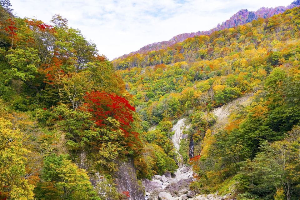 Welcome to Nagano: Private Tour With a Local - Explore Nagano With a Local