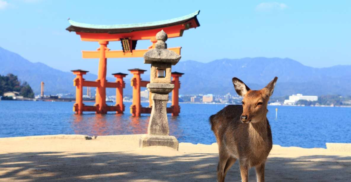 From Hiroshima: Hiroshima and Miyajima Island 1-Day Bus Tour - Itinerary and Schedule