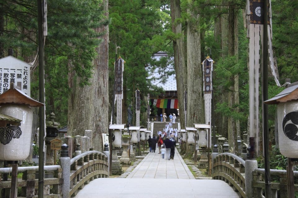 From Osaka: Mt. Koya Private Walking and Train Tour - Itinerary Highlights and Inclusions