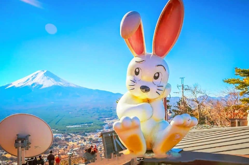 From Tokyo: Guided Day Trip to Kawaguchi Lake and Mt. Fuji - Itinerary and Tour Logistics